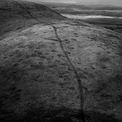 Waste & Demesne
