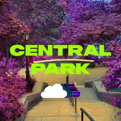 Central Park 90BPM Ebmin Prod By _Bonvibe