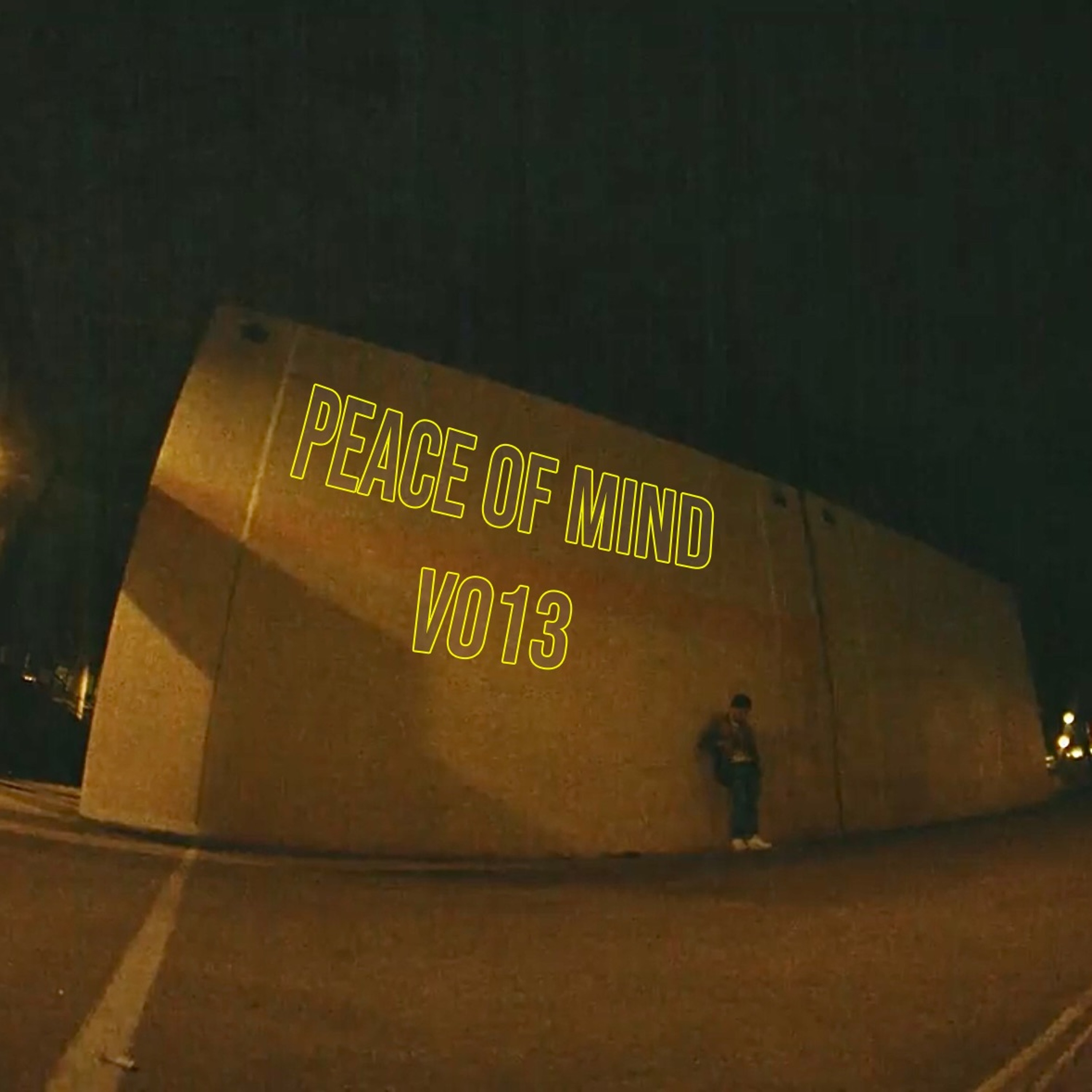 VO13