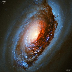 Cujo - Liminality (prod. Vegard Veslelia)