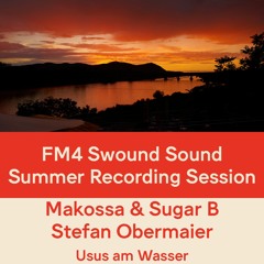 FM4 Swound Sound #1314