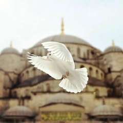 وَإِنِّي لَغَفَّارٌ لِّمَن تَابَ وَآمَنَ وَعَمِلَ صَالِحًا | رعد الكردي