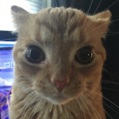 [free for non profit] dark/emo digicore beat