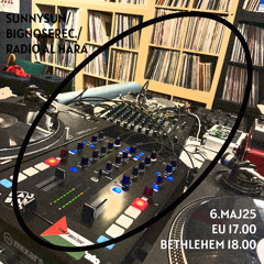 Radio Al-Hara / SunnySun Bignose Ljubljana Episode #16 - Trip Hop