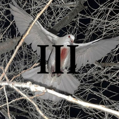 chase bands, not bitches (feat. Chxpo)