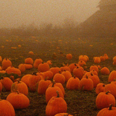 Palm Pact - IDC (wonked out) Bomber & Euphemistic