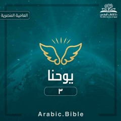 إنجيل يوحنا - العامية المصرية 3
