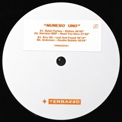 Premiere | Anderson - Double Bubble (TERRAZZO01)