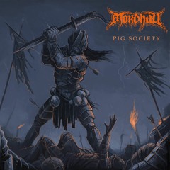 03 - Pig Society (CD Version)