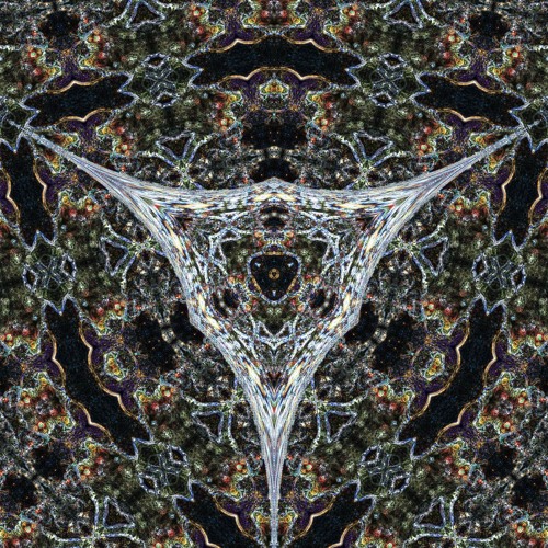Quorum