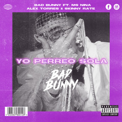 Bad Bunny X Ms Nina - Perreo Sola (Mashup by Alex Torres & Skinny Rate)