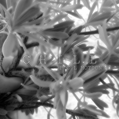 C H I L L  N I G H T -TRAP REMIX PCL