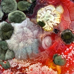 Le béguin pour hip sync [safar] (29.03.23)