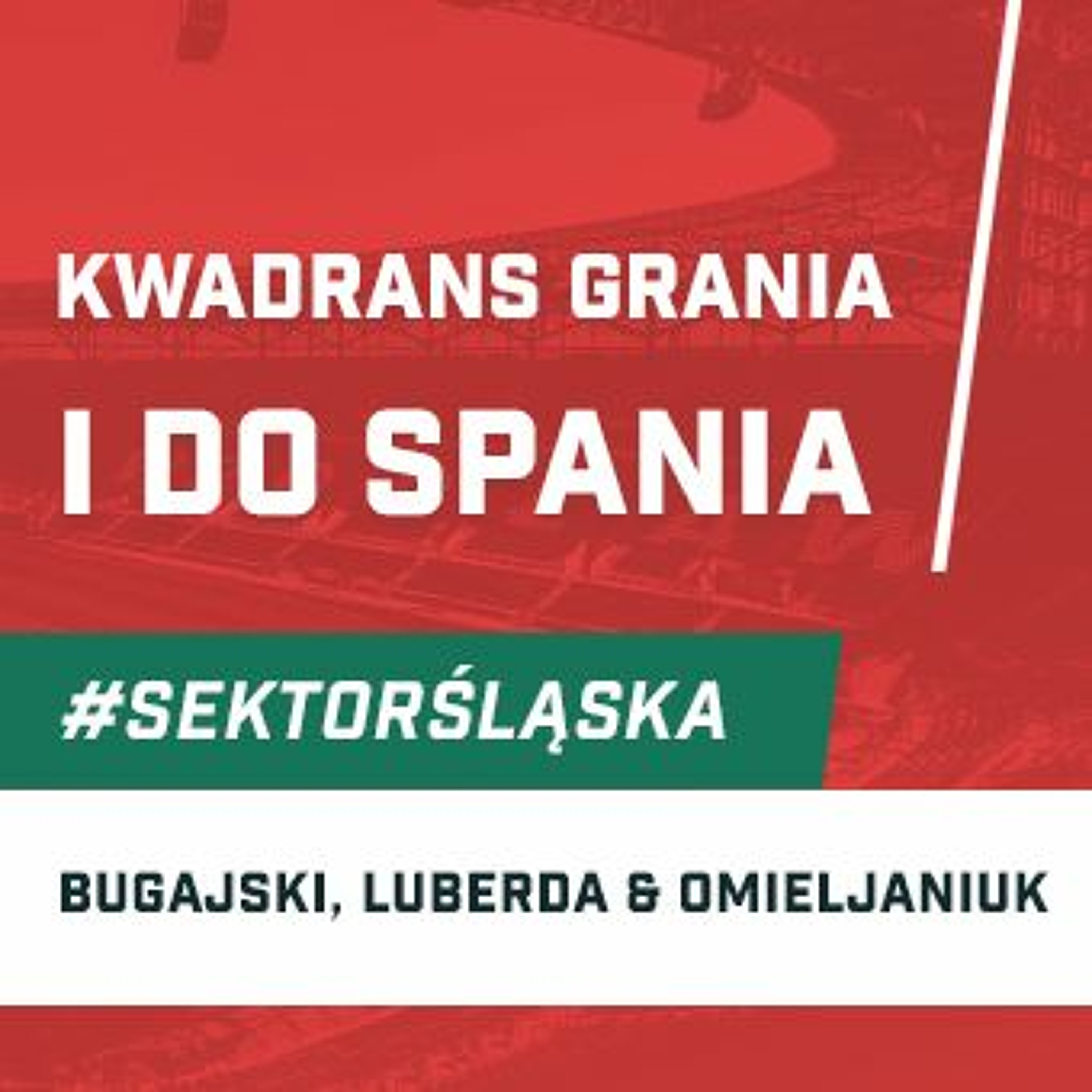 Śląsknet