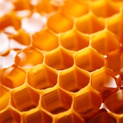 Nepobedimoe Solntse (Invincible Sun), Part 1