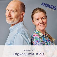 Avsnitt 11 | Så säljer du till offentlig sektor trots lågkonjunkturen