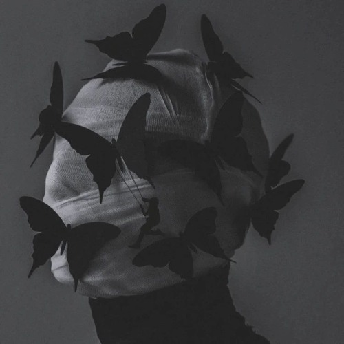 LA FAILLE