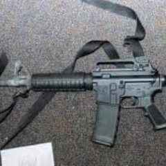 My Gun Talks To Me