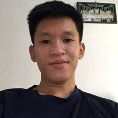 HANH PHUC BO ROI EM - NPT REMIX 2025 ( HUONG LY )