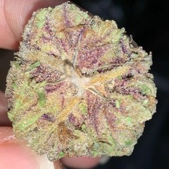 Haze 5star - 40 bars_._.2.m4a