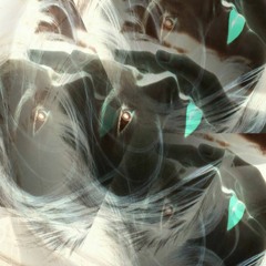 Jumbo Pimp - Artichoke Heart