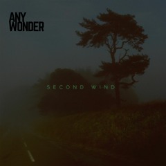 Any Wonder - Second Wind