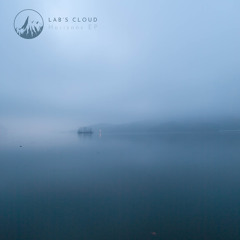 In the Fog