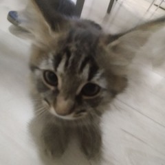 напрасный вопрос