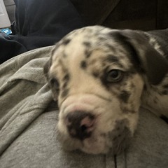 pretty girl