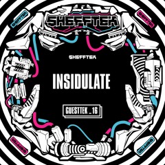 Shefftek Guesttek #16 - INSIDULATE