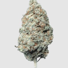 77Deuce Ent Presents: DJ Science - 420 Gorilla Cake Mix