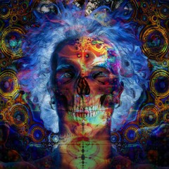 LSD-REINCARNATION