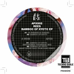 TB Premiere: REES - An Evening In Yoshino [APE-X Records]