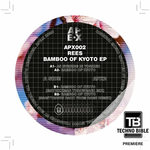 TB Premiere: REES - An Evening In Yoshino [APE-X Records]