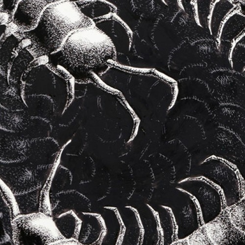 voltas , voltas e muitas voltas - (w/ mavyrmldy)