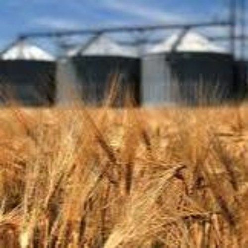 Farmers in South Africa face power cuts and a weak Rand, but it's not all doom and gloom