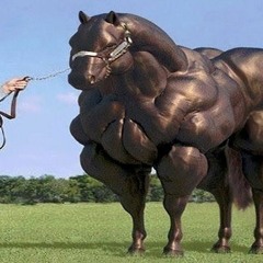 P3rdid0_nnu_ 3sp4ç0