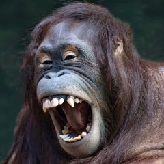 WHAT DAT MEANNN ? - FREESTYLE 65 BPM