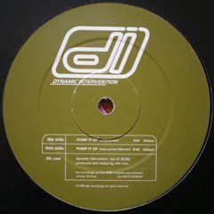 Dynamic Intervention - Pump it Up (New Variant 303 Mix)