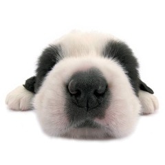 Candyman (Mixtape Version)