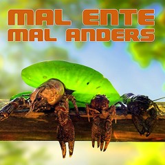 Mal Ente Mal Anders