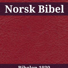 ePub/Ebook Norsk Bibel BY : TruthBeTold Ministry