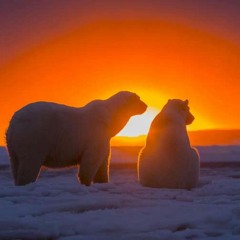 Arctic awakenings.mp3