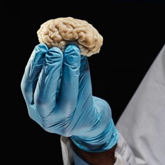 Underground Media Towers