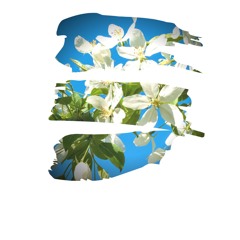 Scenixx Spring Oasis Set