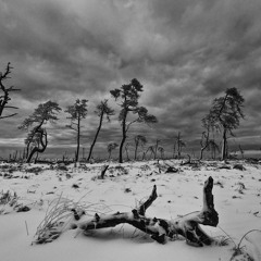 Ruhiger Samstag02.02.2025