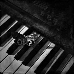 New Song 39
