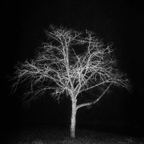 Fantasies alone start x Grouper - Poison tree (Slowed)