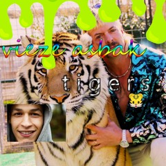 Tigers