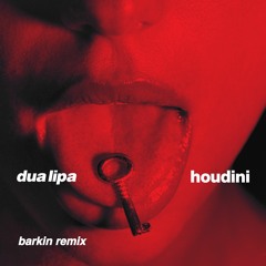 Dua Lipa - Houdini (Barkin Remix)